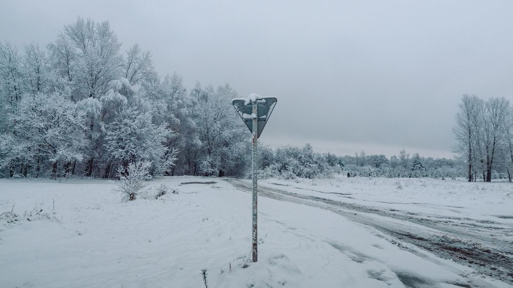 Фотография автора yakuwari