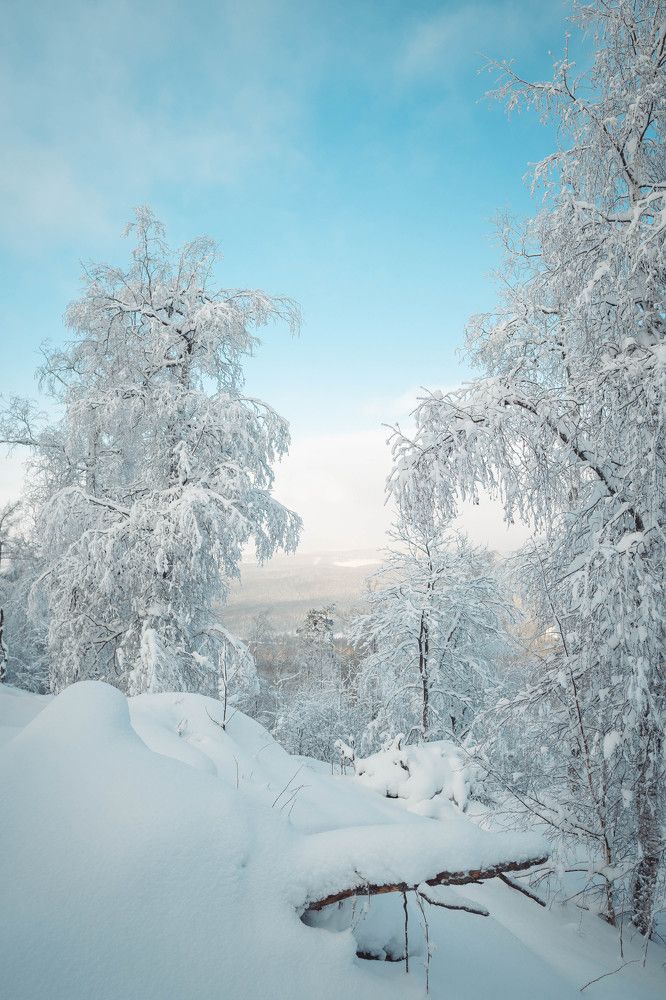 Photograph by Иван Кривоносов