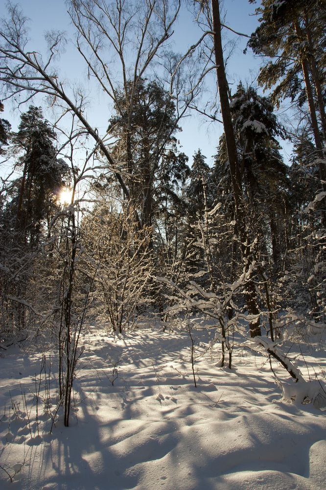 Photograph by Рашид Сафиуллин