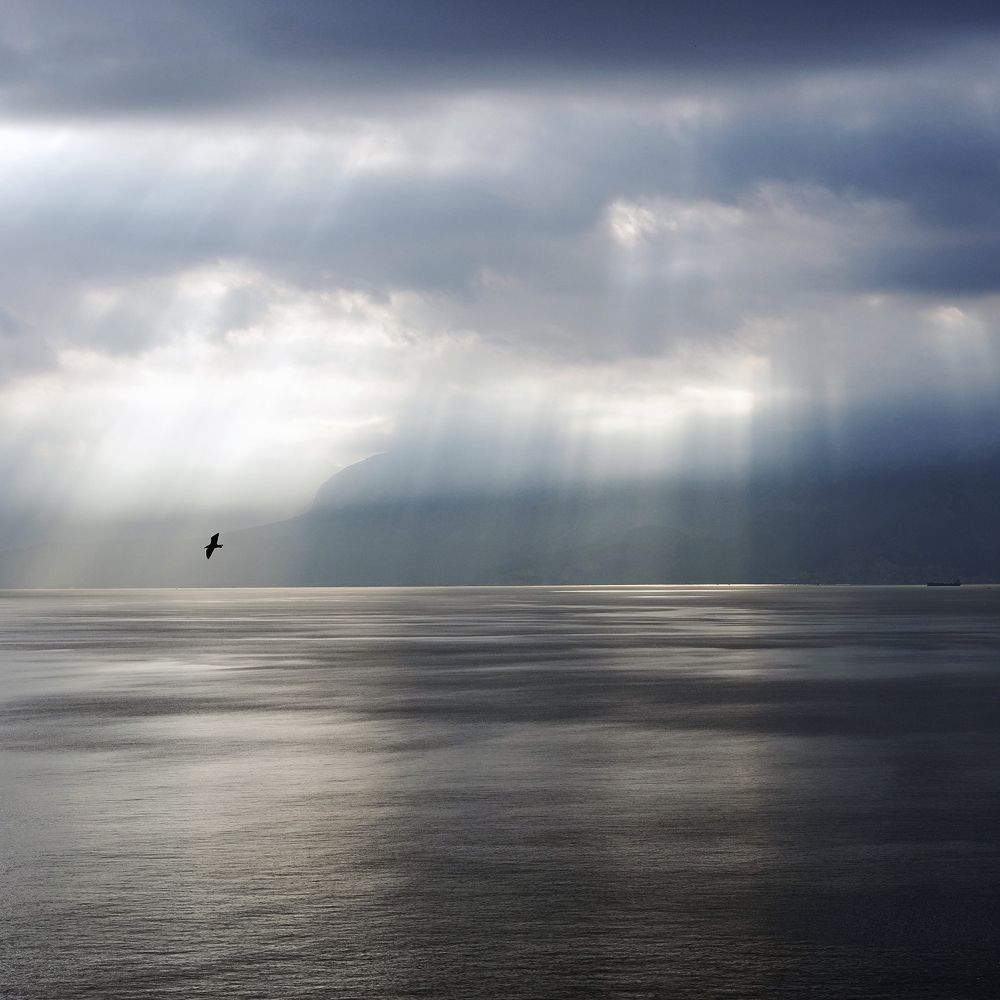 Фотография автора Василий Рябовол