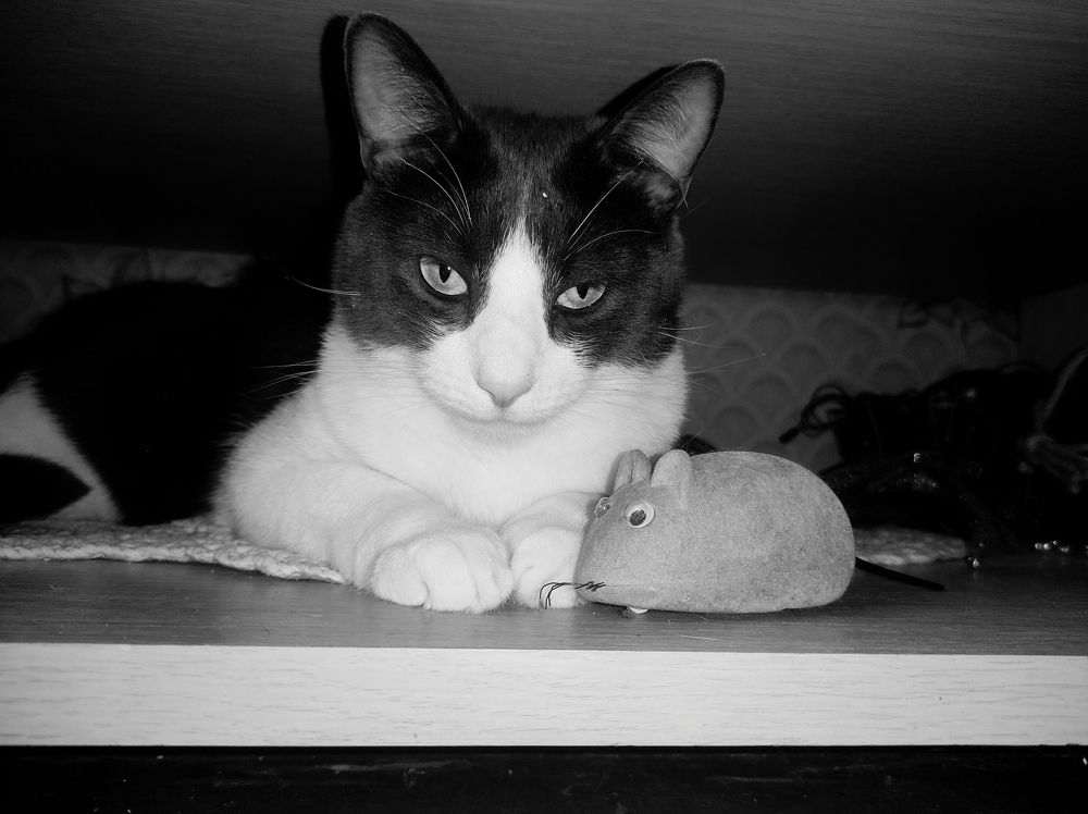 Photograph by Ирина Саттарова