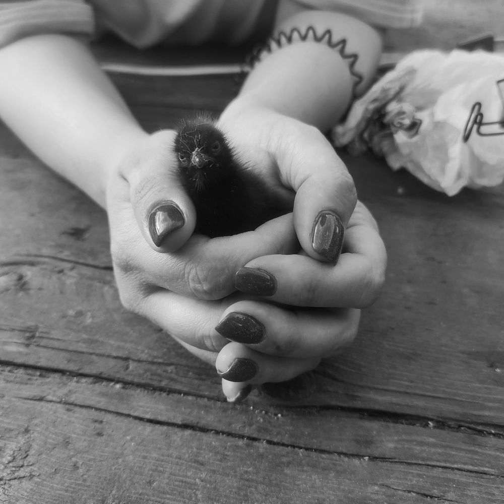 Photograph by Ирина Саттарова