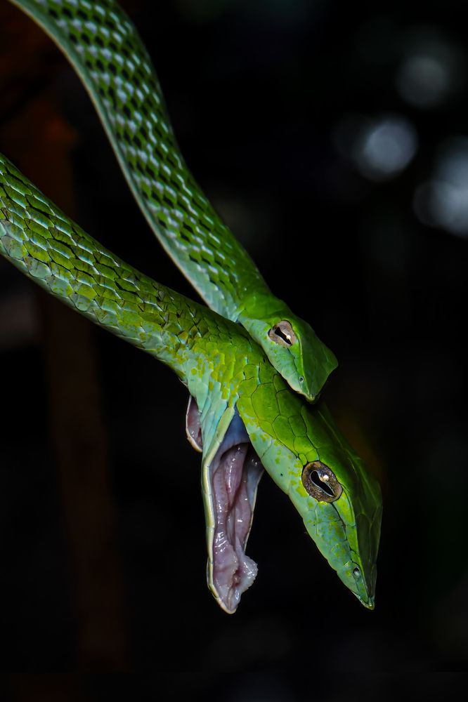 Photograph by Dhruv Shilpi