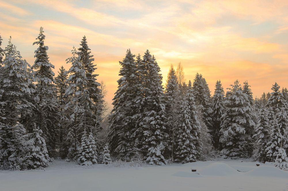 Photograph by Сергей Иванов