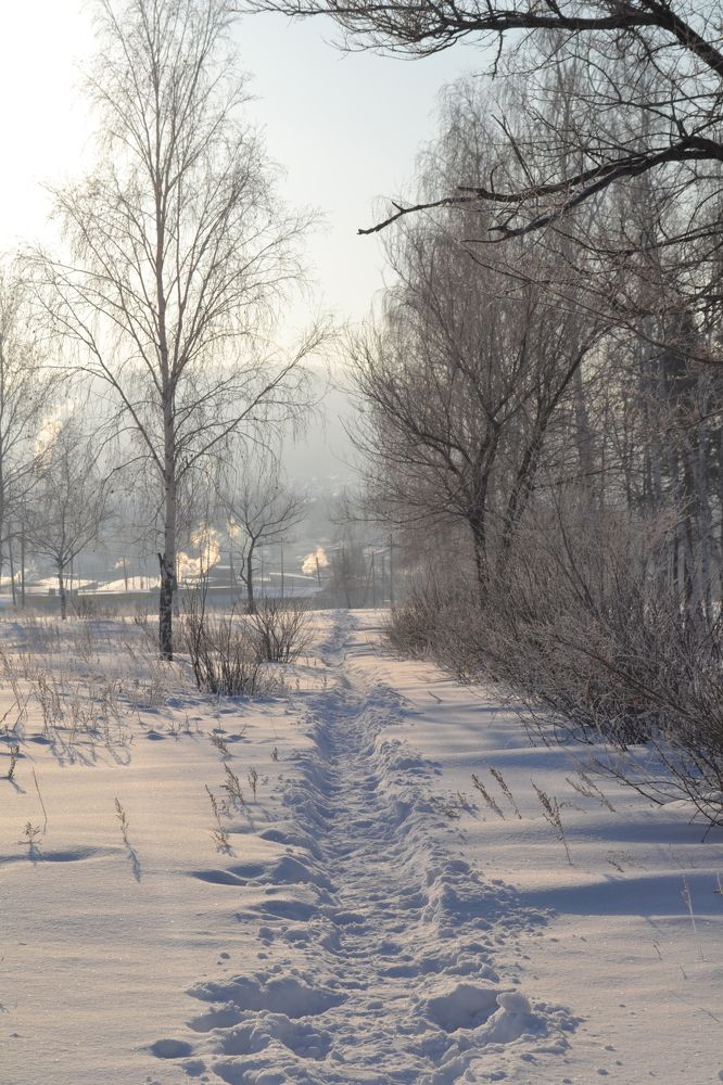 Photograph by Валерий Калинов