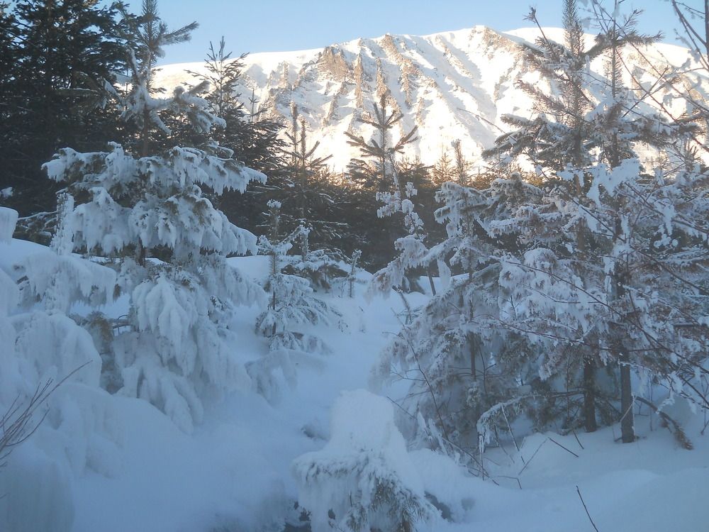 Photograph by Валерий Калинов