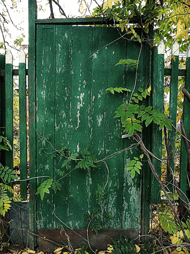 Photo #10052689