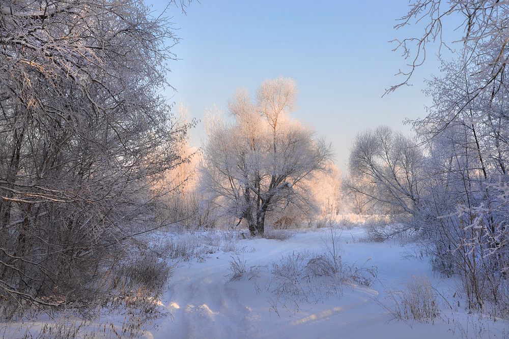 Photograph by Вадим Качанов