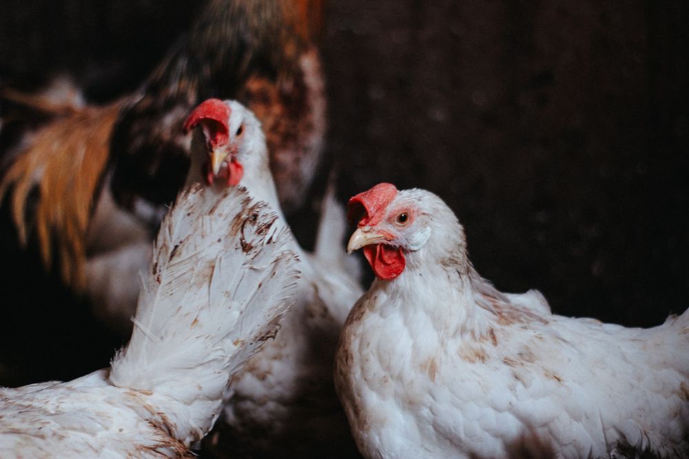 Photograph by Yuliya