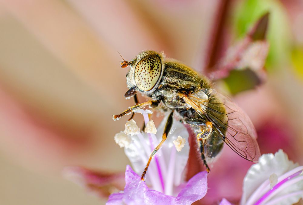 Photograph by Sahar Jafari