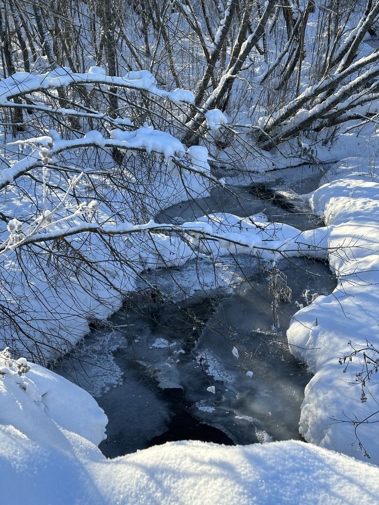 Photograph by Наталья Сережко