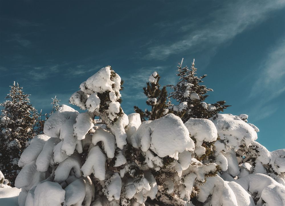 Photograph by Екатерина Карпова