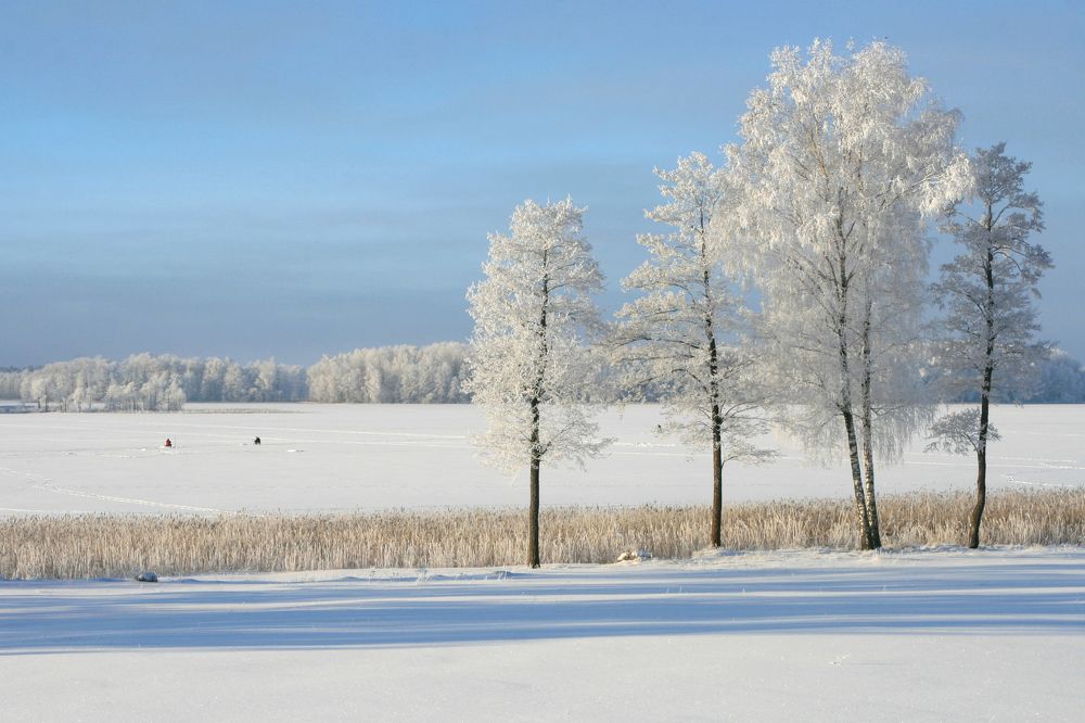Photograph by Inese Minova