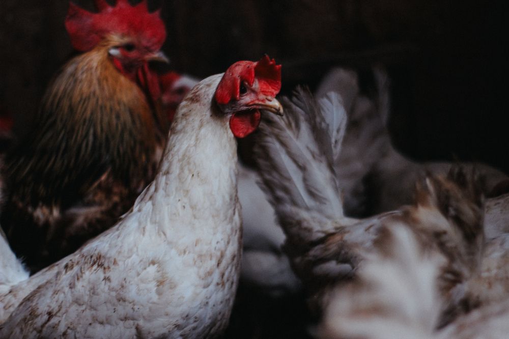 Photograph by Yuliya