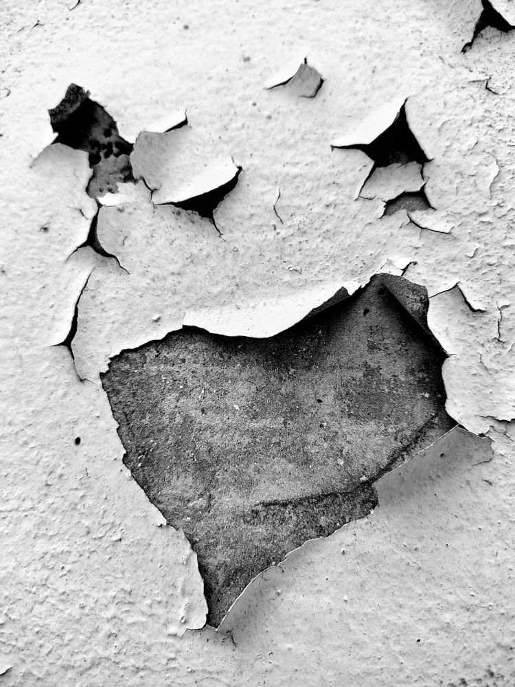 Photograph by Мария Тёмкина