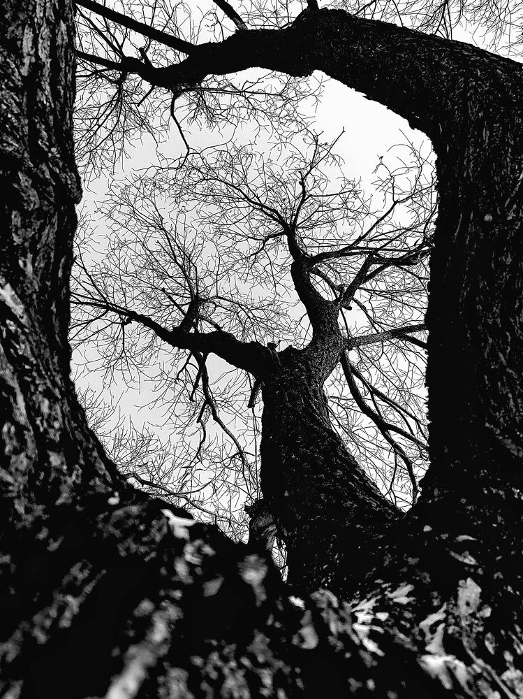 Photograph by Мария Тёмкина