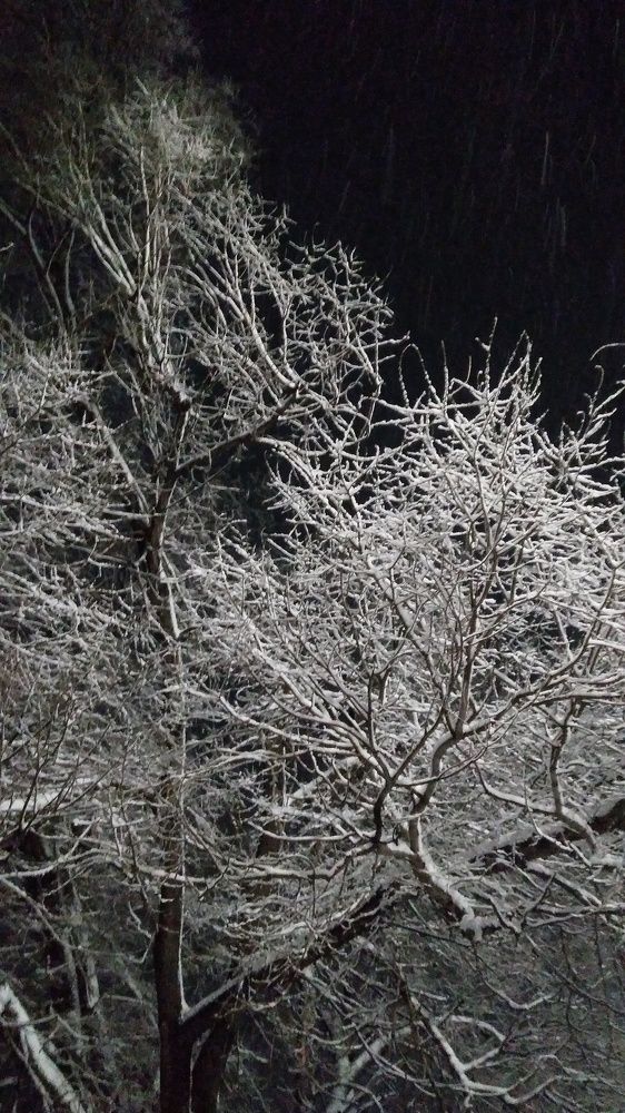 Photograph by Илья Поляков