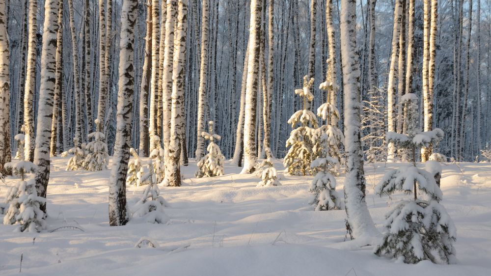 Photograph by Татьяна Романова