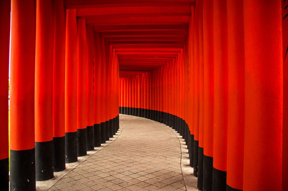 Photograph by Md. Belayet Hossain