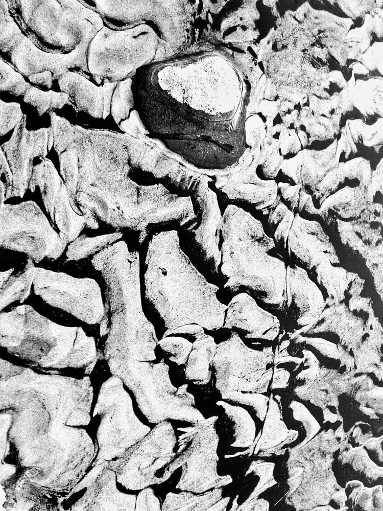 Photograph by Мария Тёмкина