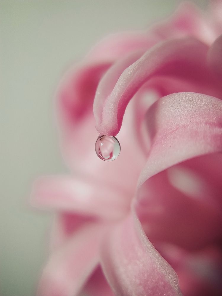 Photograph by Наталья Алексеева