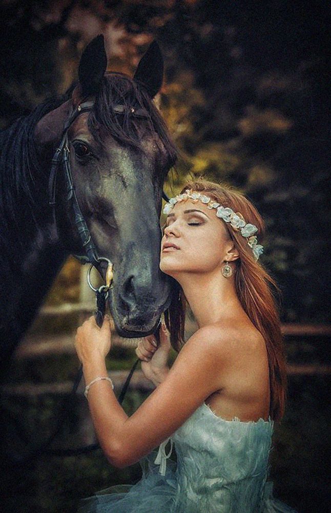 Фотография автора Алексей Денисов