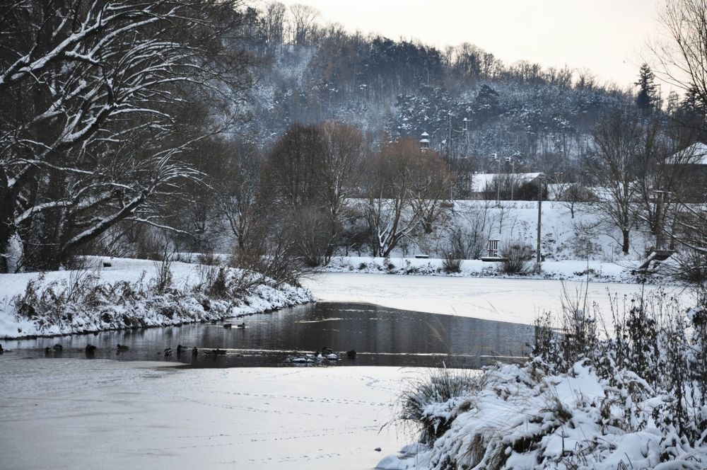 Photograph by Галина Лысых