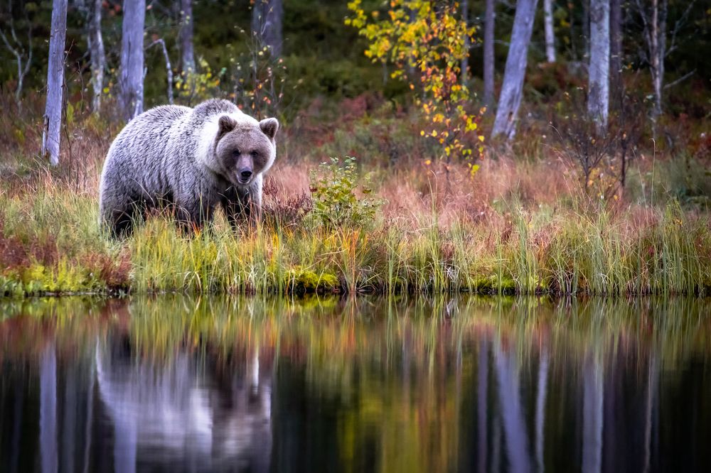 Photograph by Vita Potomova