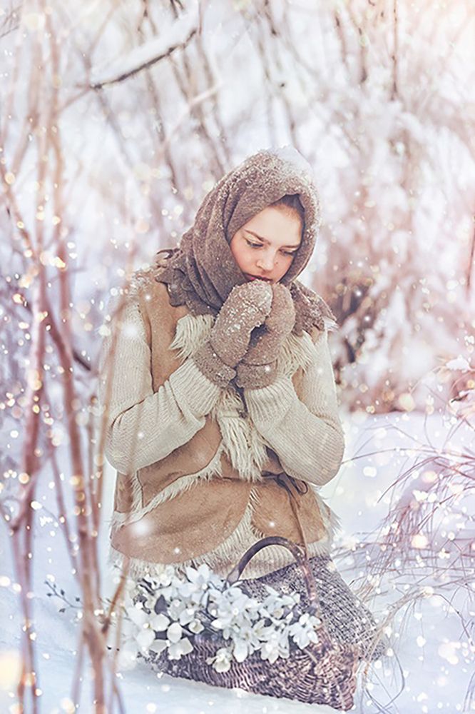 Фотография автора Алексей Денисов