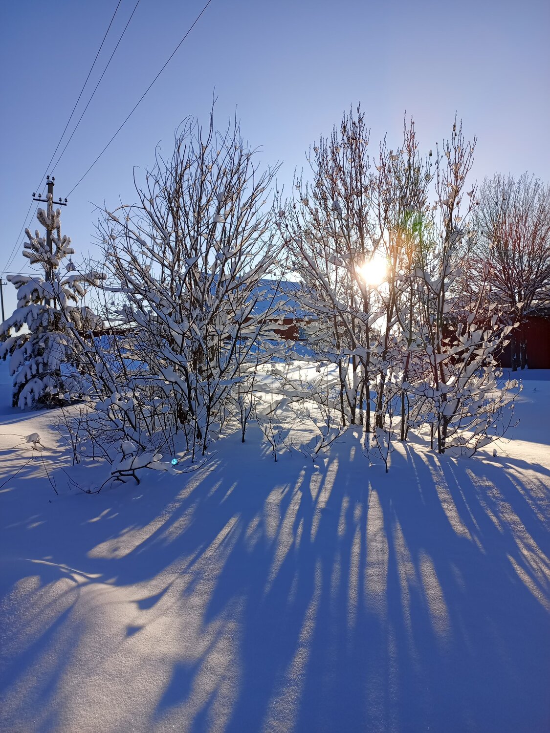Photo #10053079