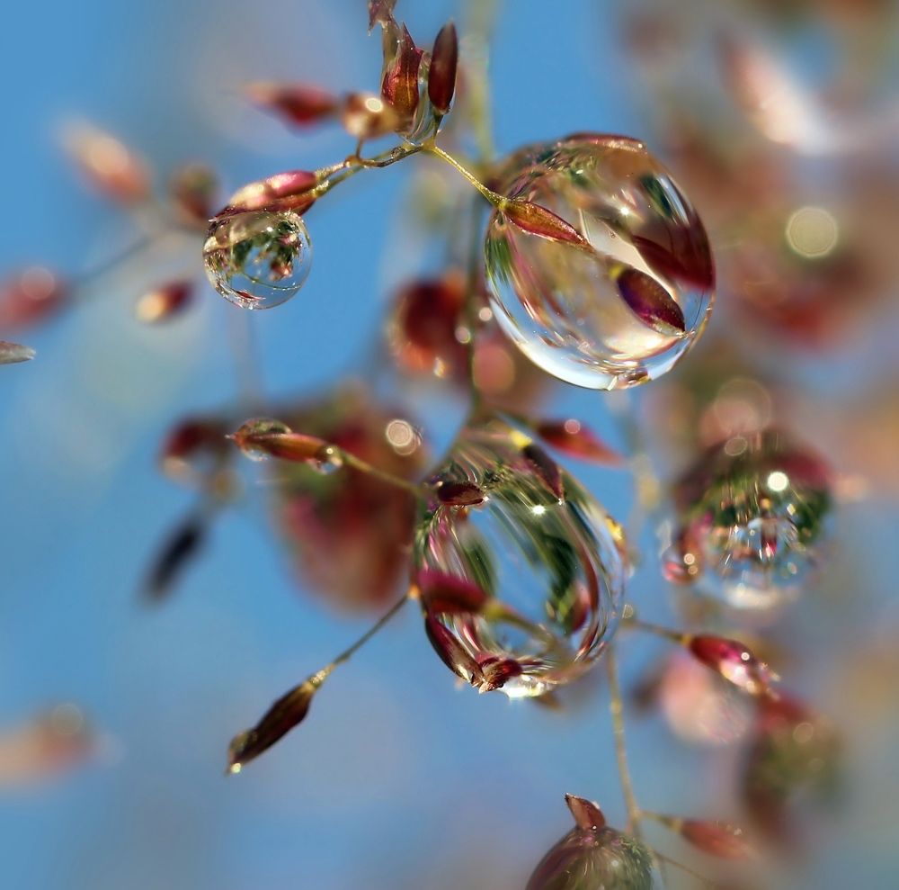 Photograph by Любовь Саханова