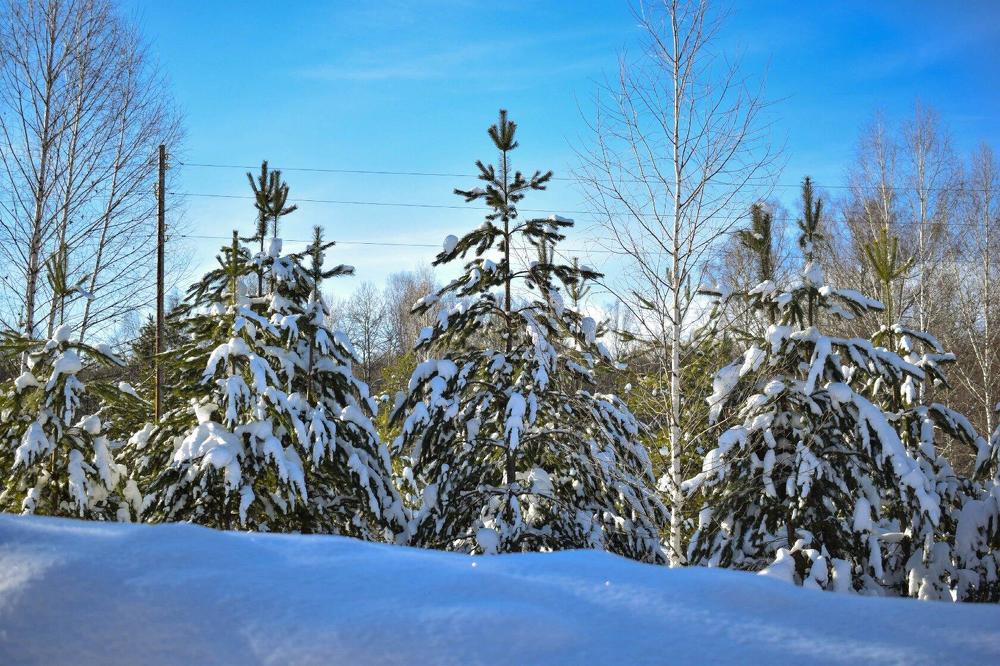 Photograph by Сауия Назмутдинова