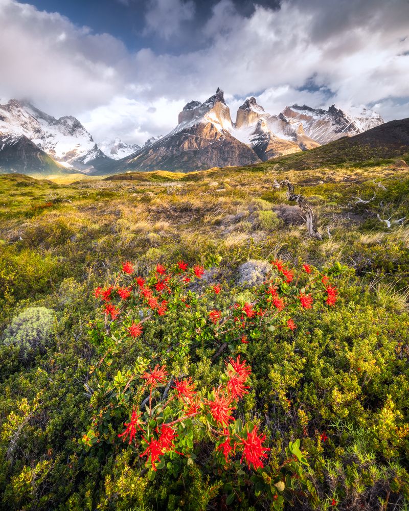 Фотография автора Oleg Rest