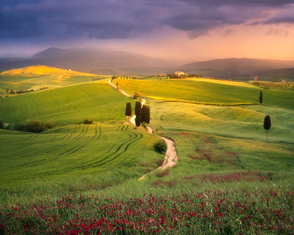 Фотография автора Oleg Rest