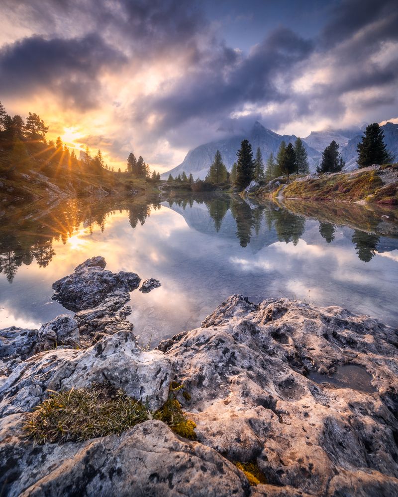 Фотография автора Oleg Rest