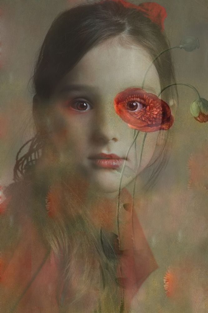 Photograph by Анастасия Медовник