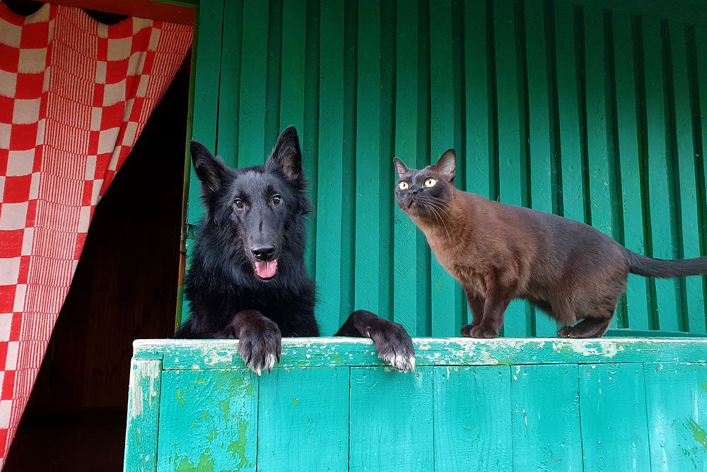 Фотография автора Надежда Лисицына