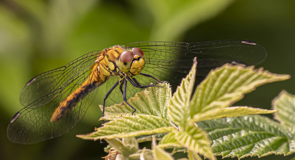 Photograph by Екатерина Бурикова