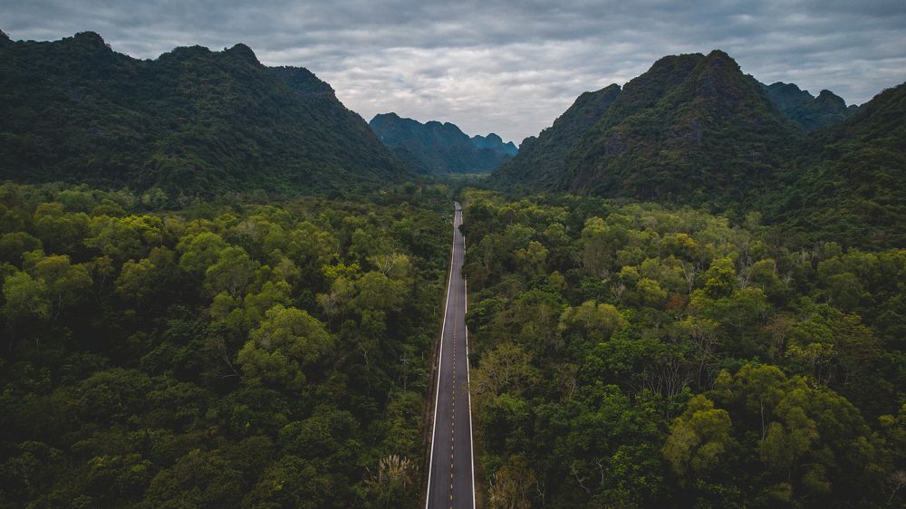 Photograph by Anthony