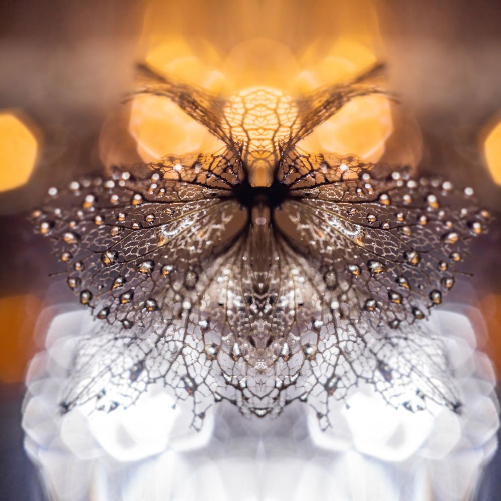 Photograph by Rasita Li