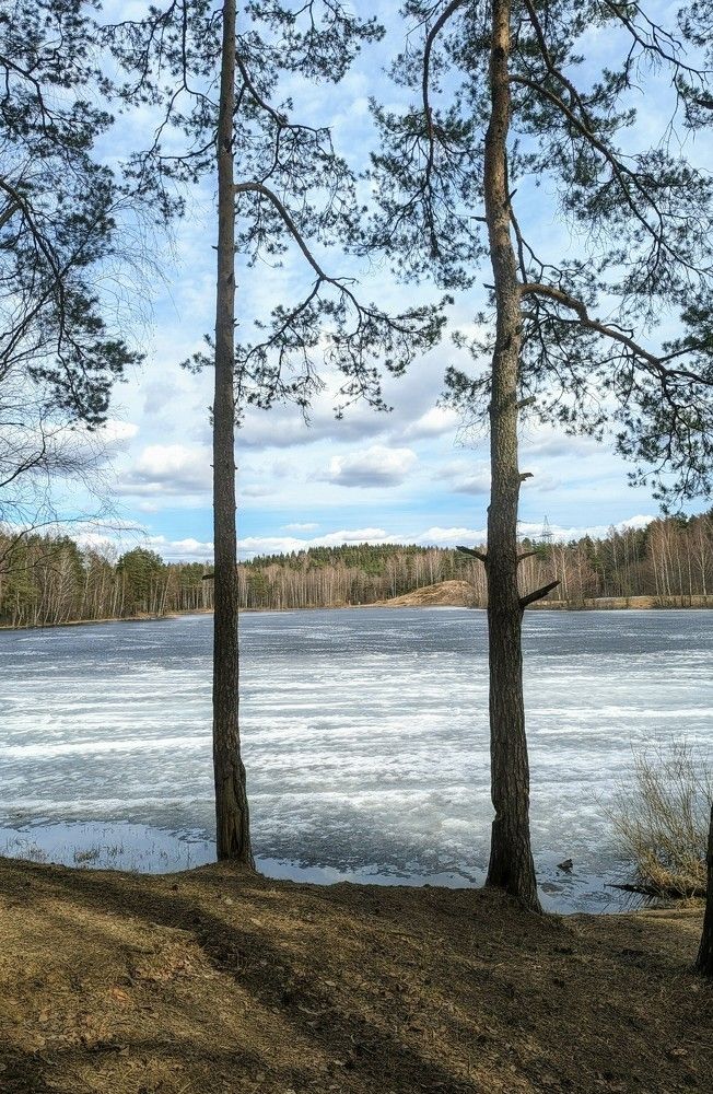 Photograph by Денис Терехин