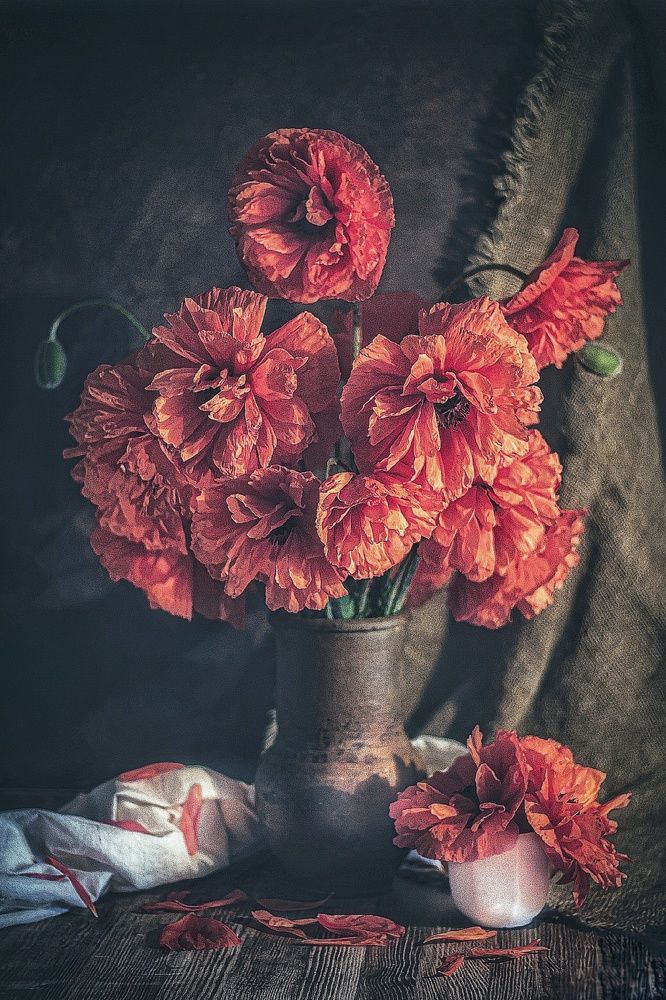 Photograph by Наталья Исиченко