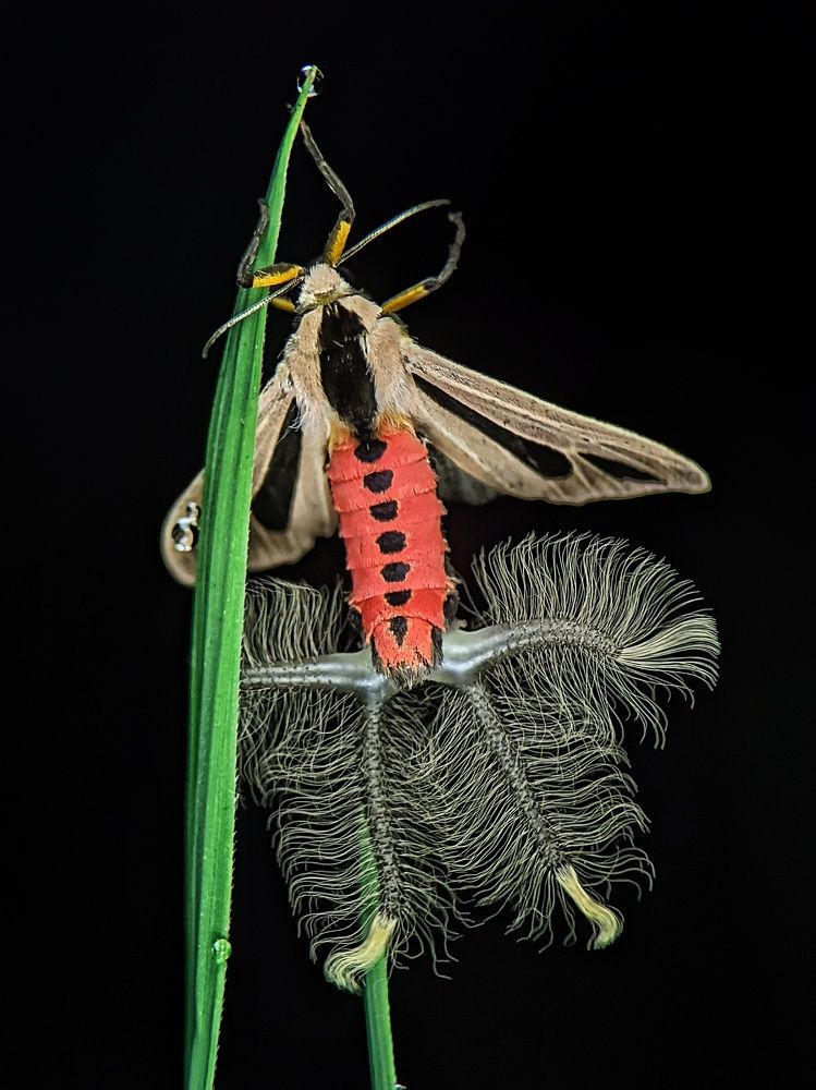 Photograph by Eka Uksyah