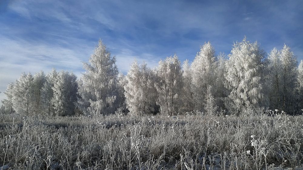 Photograph by Cергей Абакумов