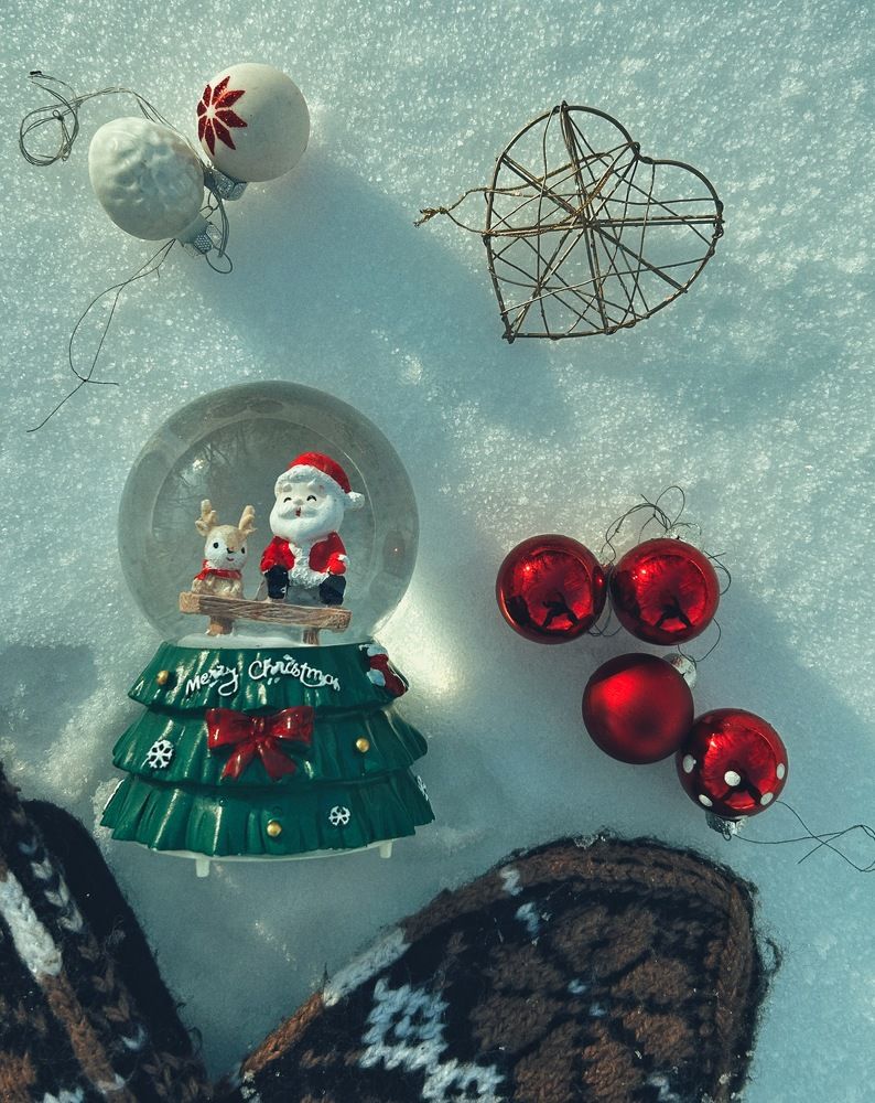 Фотография автора Алёна Васина