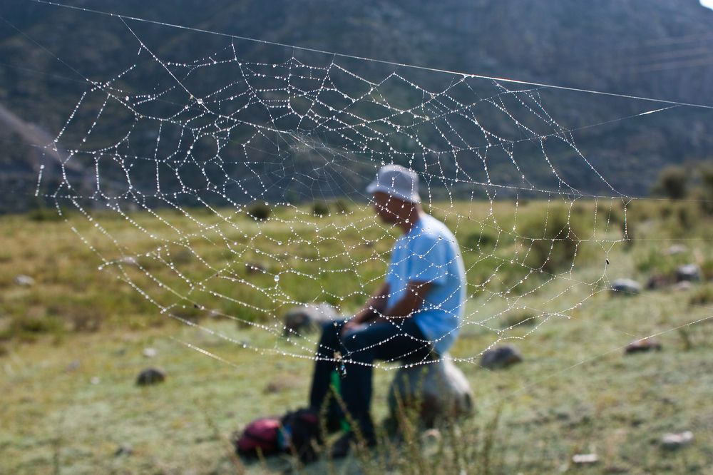 Photograph by Мария Самоловова