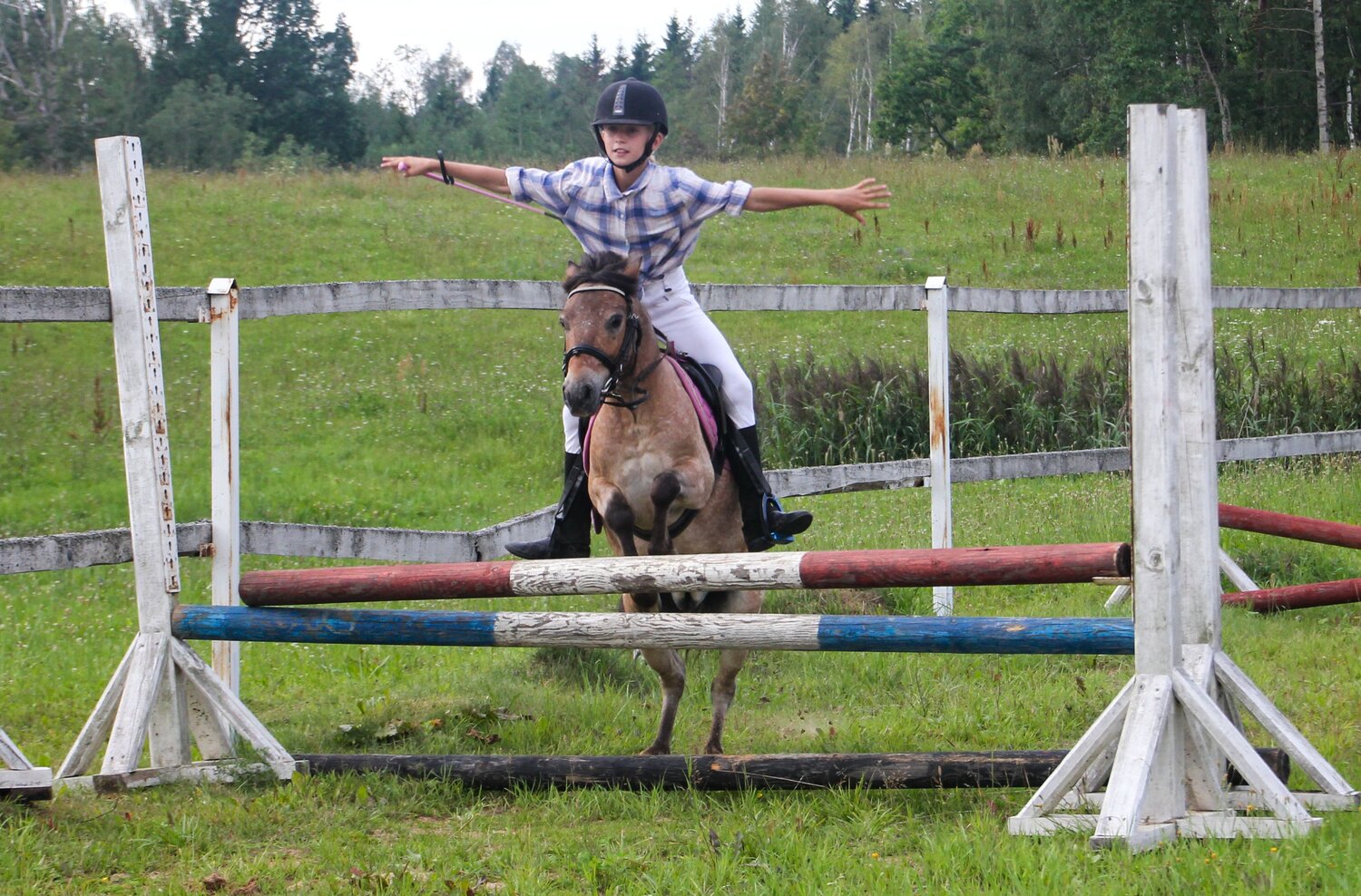 Photo #10053605