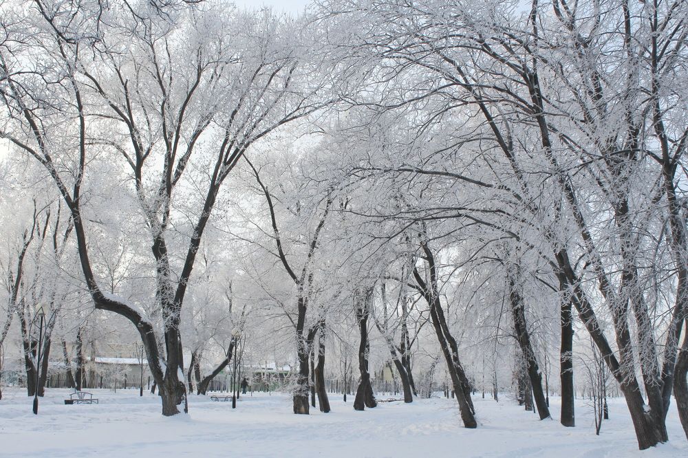 Photograph by Сироткина Нина