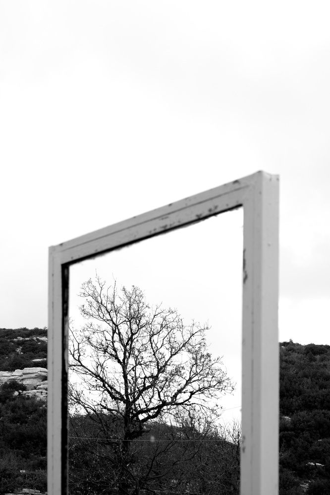 Фотография автора По Александр