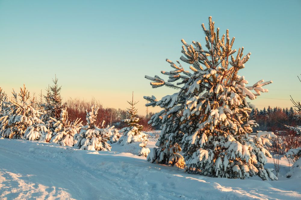 Photograph by Сергей Зимин